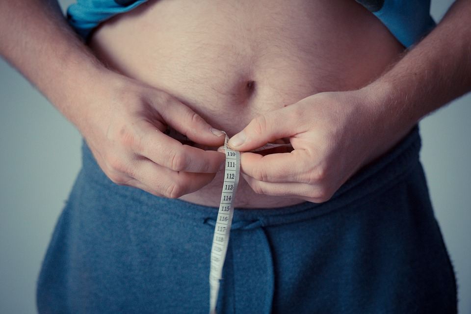 How does income inequality affect obesity?