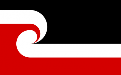 Why should we learn Te Reo Māori?