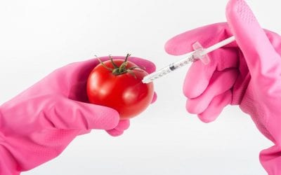 Is it safe to eat GMO foods?