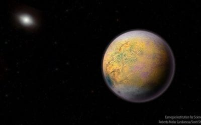 What does The Goblin tell us about the outer reaches of our solar system?