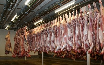 Could a meat tax save thousands of lives every year?