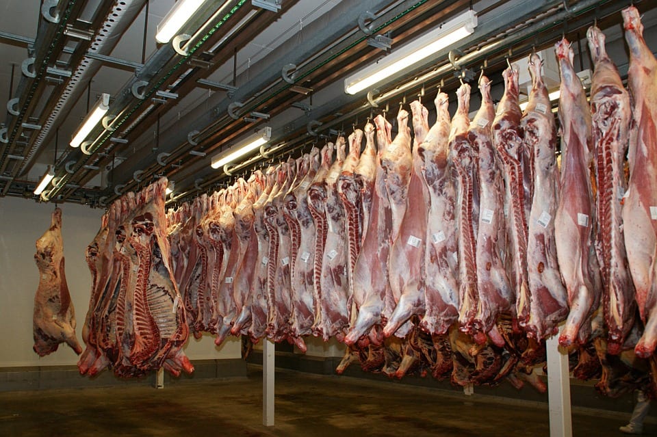 Could a meat tax save thousands of lives every year?