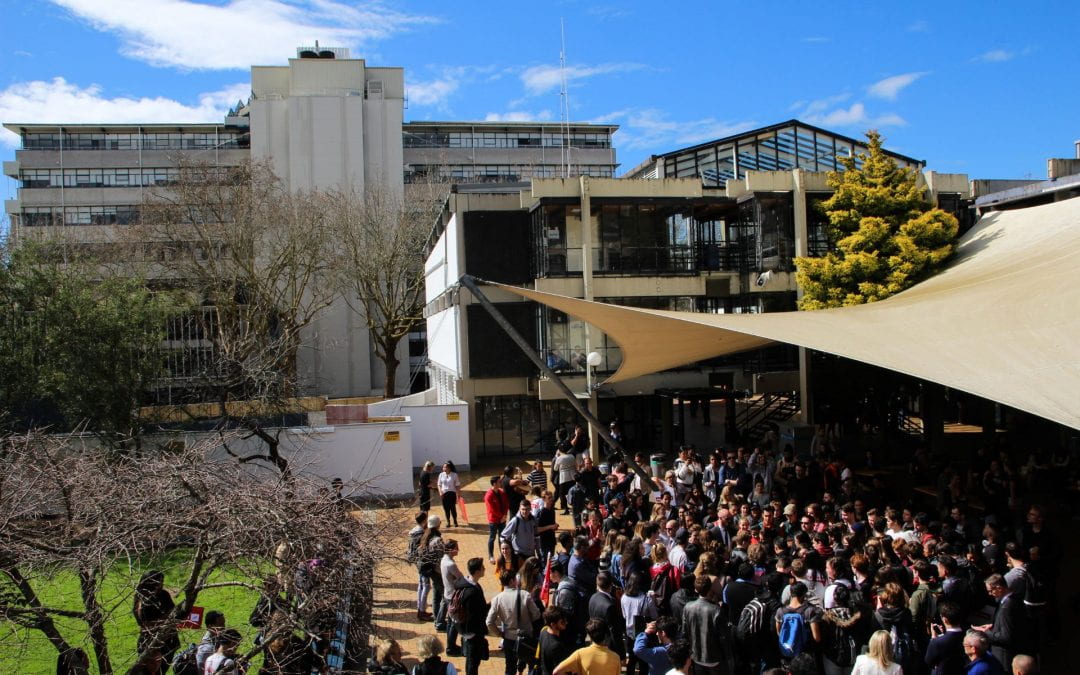 Is the University of Auckland becoming more sustainable?