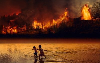 Is corruption to blame for the Amazon forest fires?