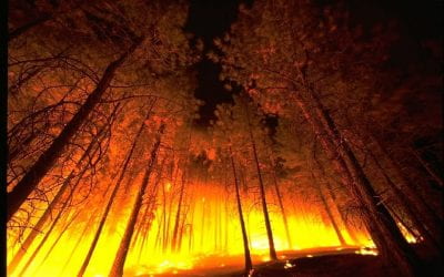 What are the public health and environmental impacts of wildfires?