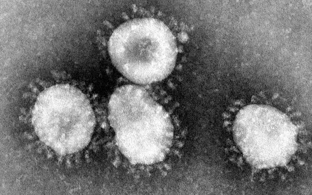 What is coronavirus and how can we stop it spreading? 🔊
