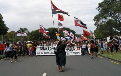 What is the Treaty of Waitangi settlement process?