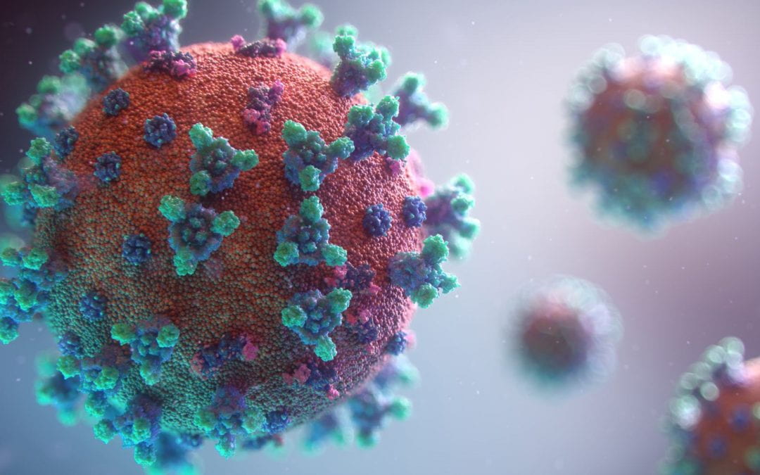 How did coronavirus spread across the world?