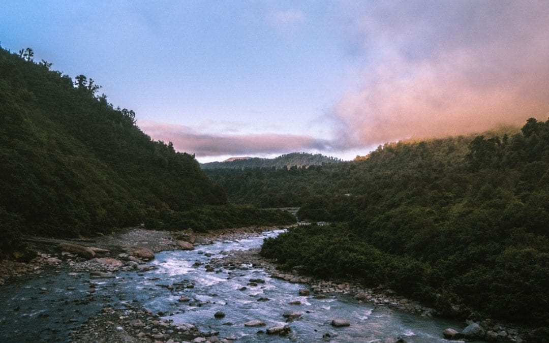 How bad is the state of New Zealand’s rivers?