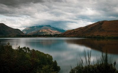 Just how healthy is Aotearoa’s freshwater?