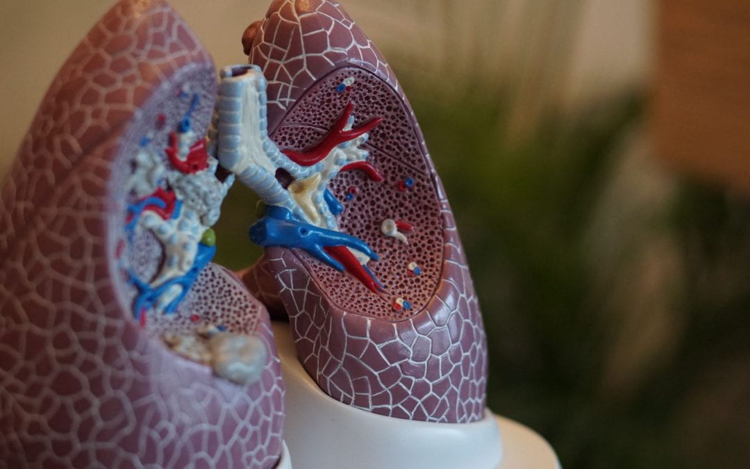 What is the virtual lung and how can it help COVID patients?