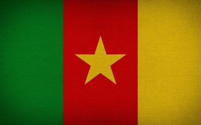 What are the causes of the civil war in Cameroon? 🔊