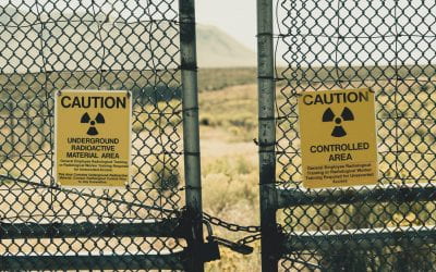 How did the U.S. gamble with peaceful nuclear technology in a world of growing nuclear arsenals? 🔊