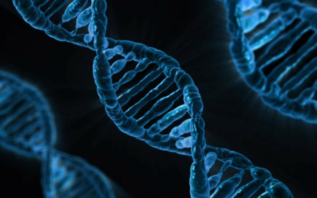 Human genome editing – are we ready?  ▶