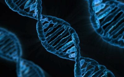 Human genome editing – are we ready?  ▶