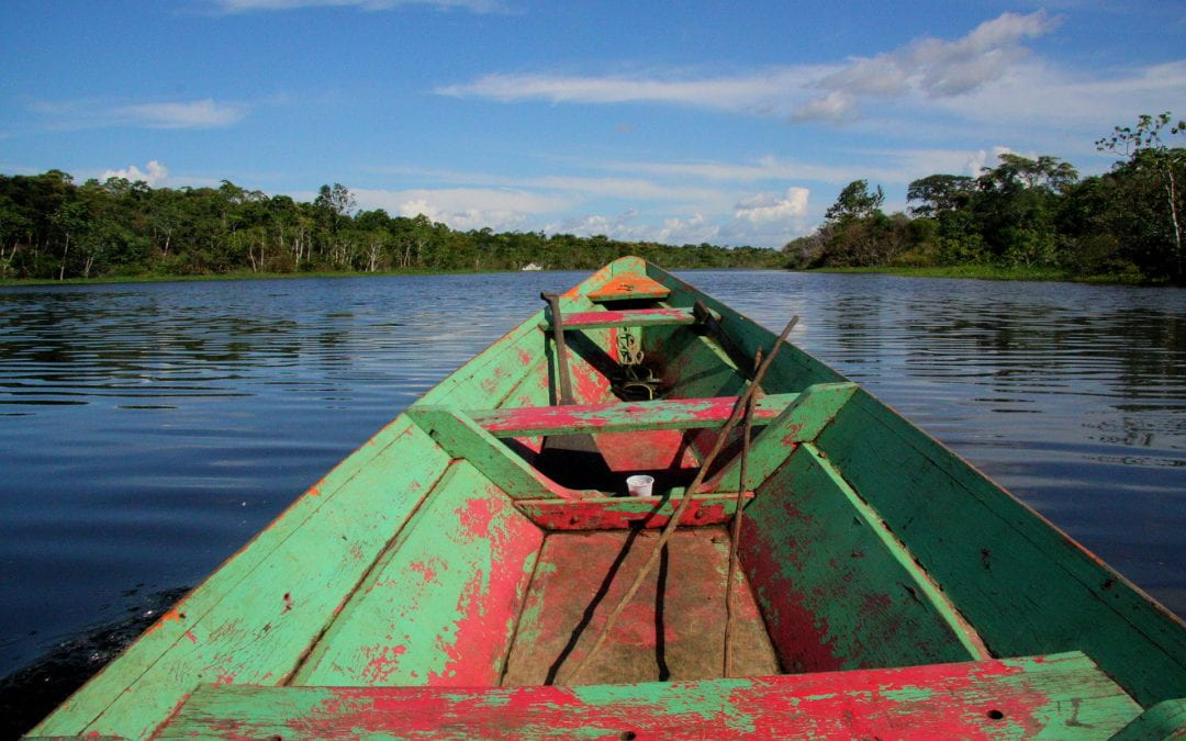 What happens if we lose the Amazon?