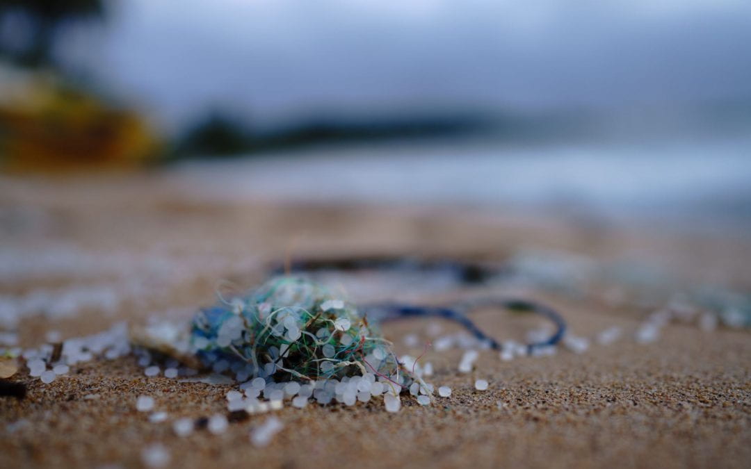 How do microplastics impact the environment and our health?