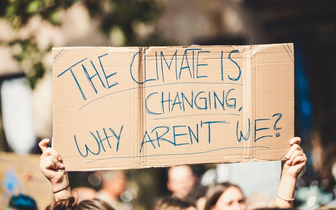 What can we learn from past movements to address the climate crisis? ▶