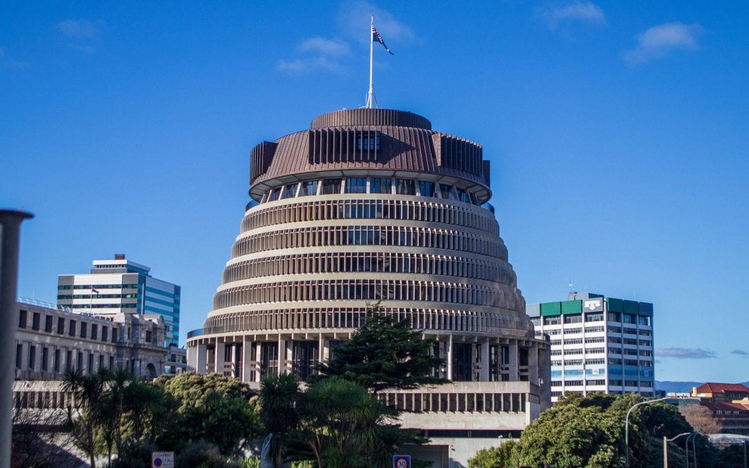 What did the NZ 2020 election reveal about public opinion and political marketing? ▶