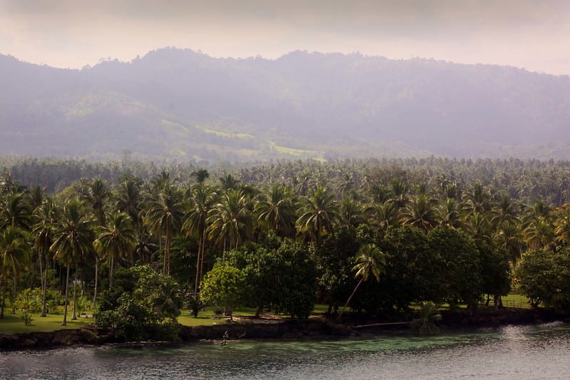 West Papuan campaigners want a ‘green state’. Could it help the planet?