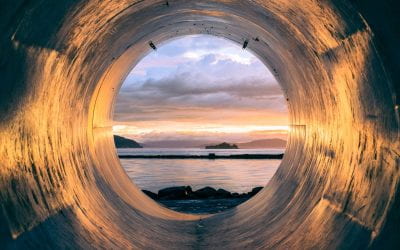 Can the economy go round? The Ngā Ara Whetū Podcast talks circular economy.