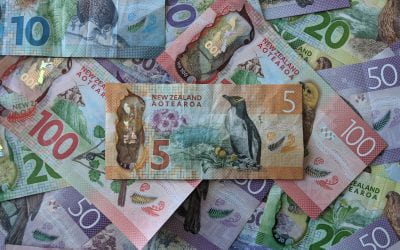 Proving the wealthiest New Zealanders pay low tax rates is a good start – but will they pay more tax?