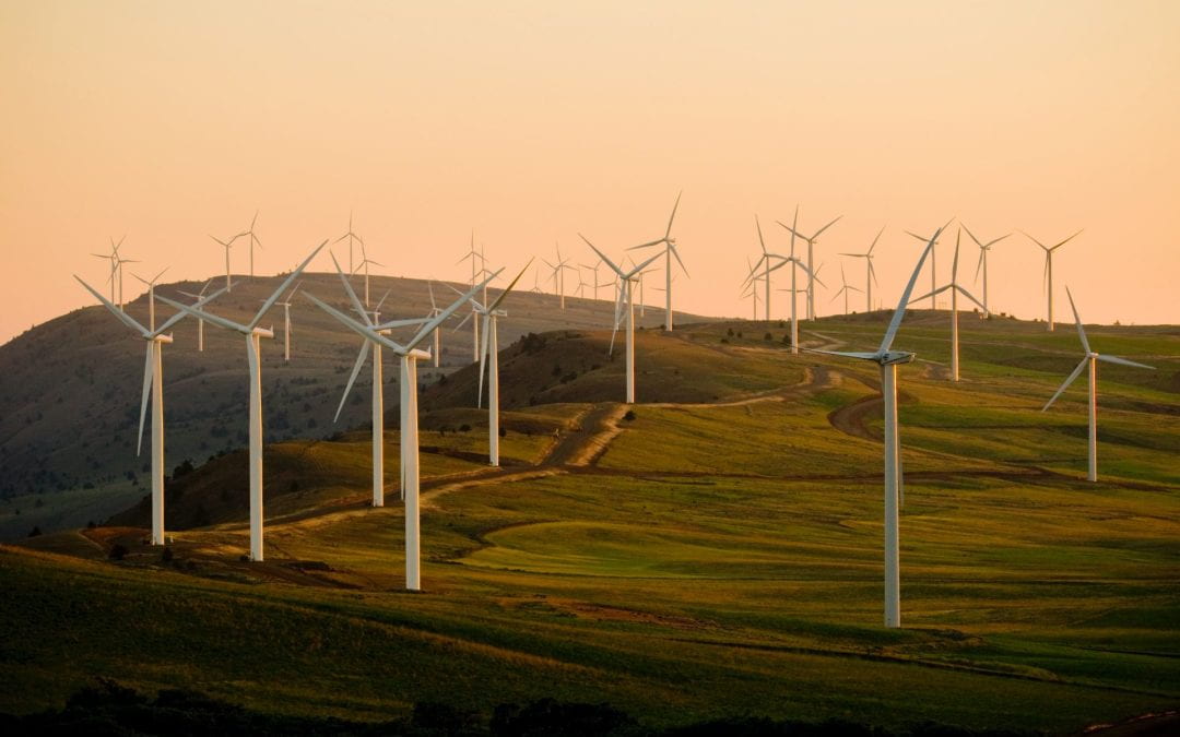 Can New Zealand’s Public-Private Partnerships Lead Climate Innovation?