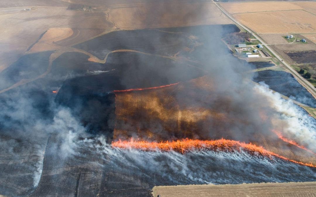 Could Common Crops Be the Key to Suppressing Fires?